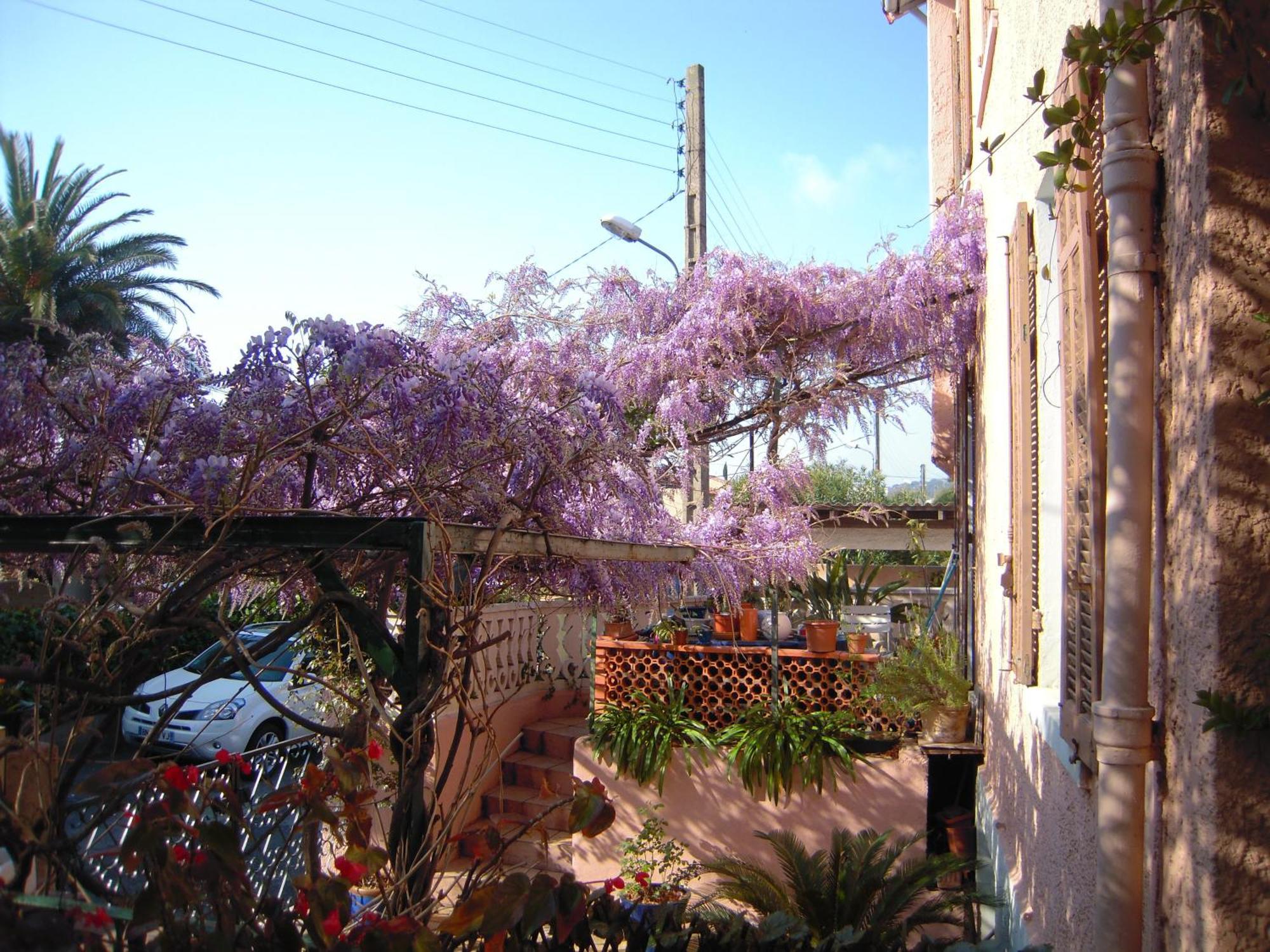 Hotel Princesse D'Azur Sainte-Maxime Buitenkant foto